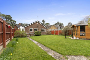 Photo 43- click for photo gallery